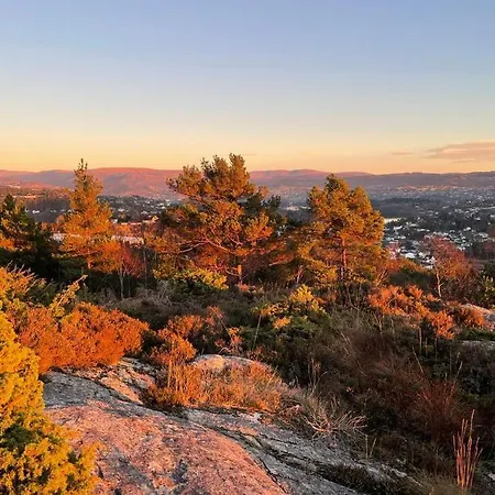With Sea View! Apartamento Bergen