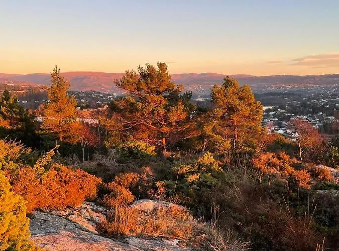 With Sea View! Lejlighed Bergen